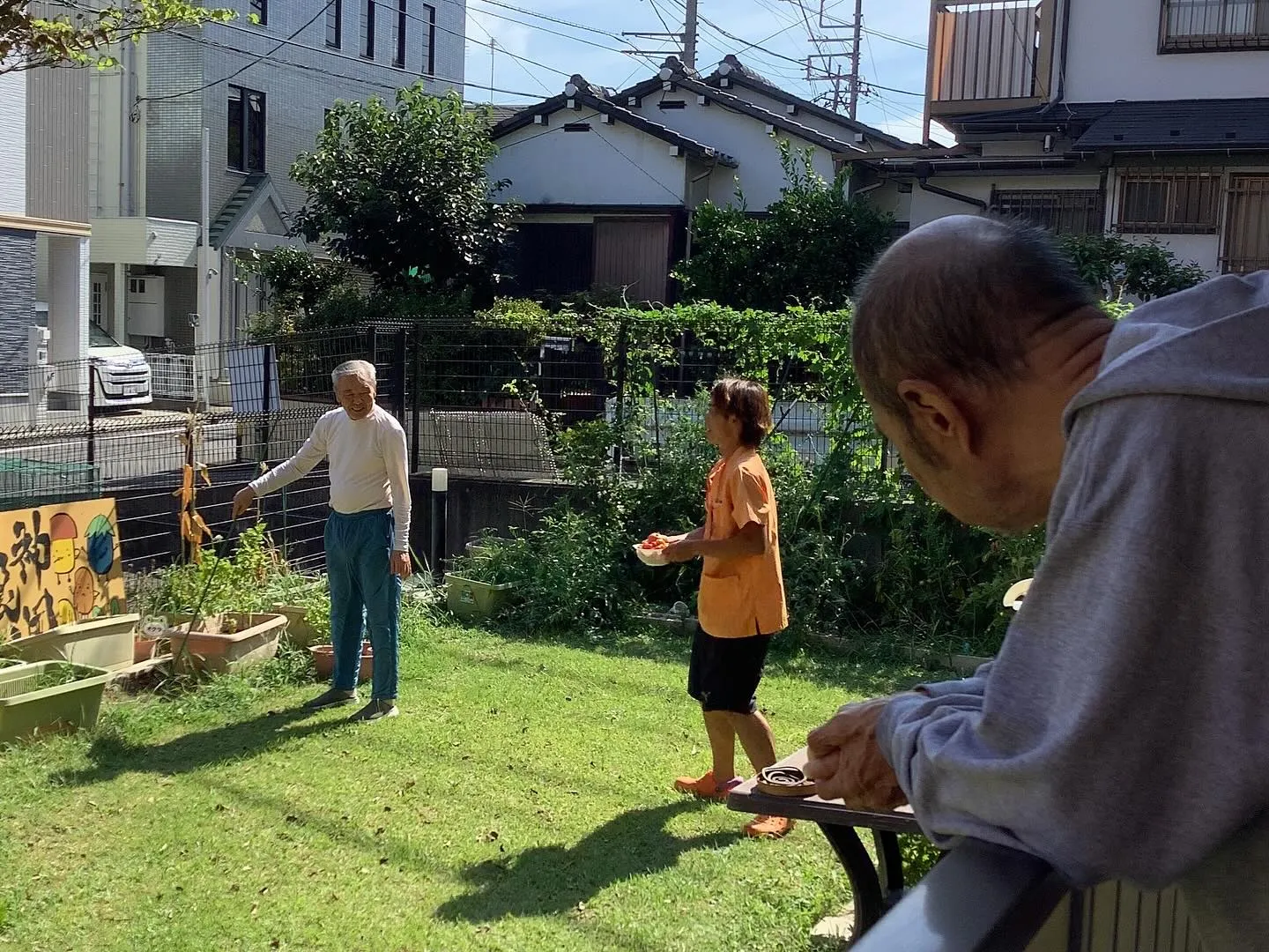 最近の神田園②