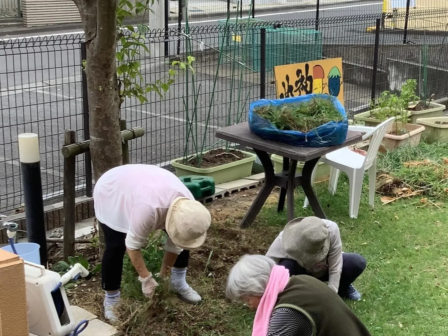 最近の神田園②