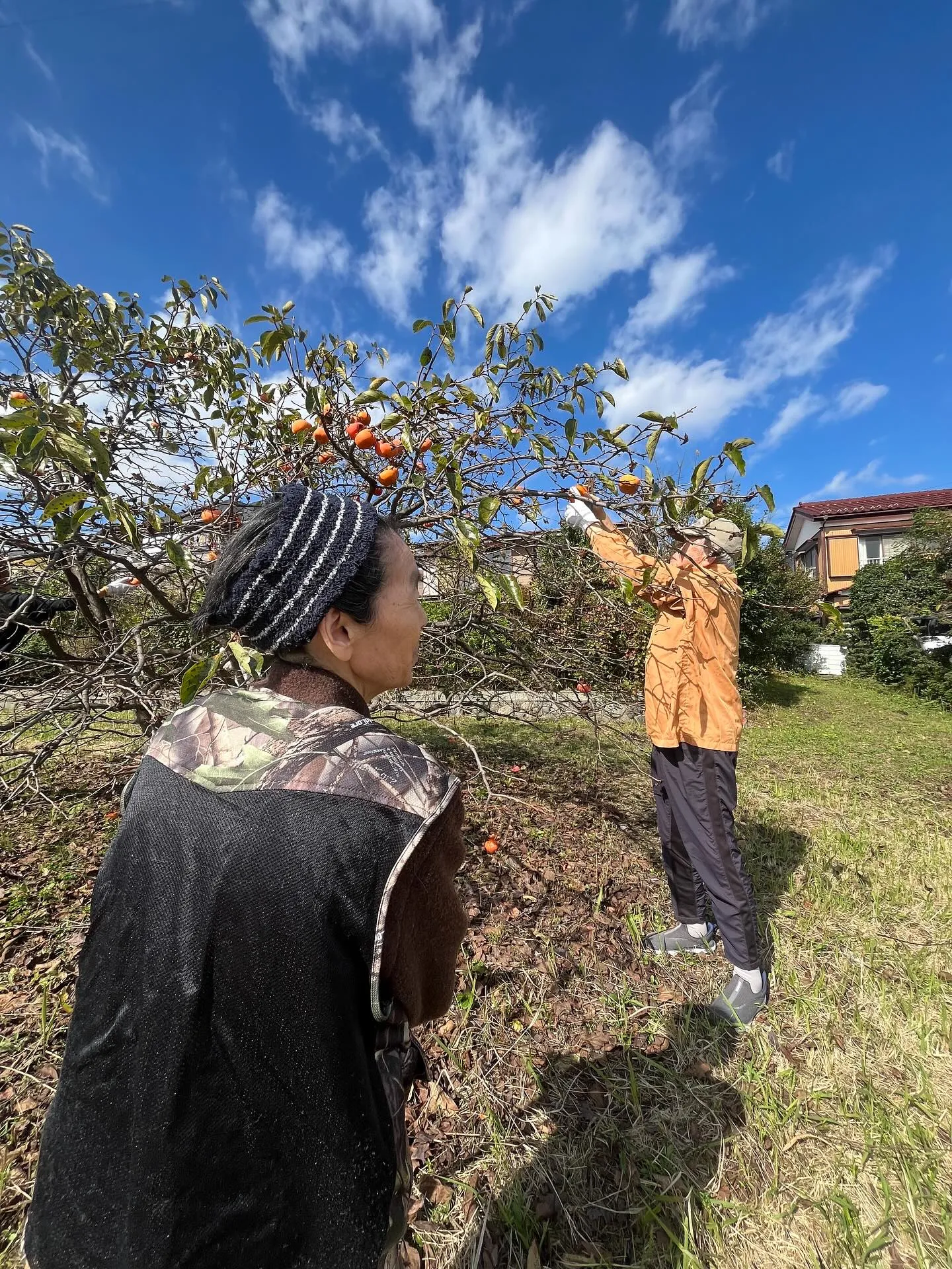 ่ช็ๆฅไผ๐ใๆฟใใใ็ฅ็ฐๅ้ๅไผใจใคใใณใ็ใใ ใใใโผ๏ธ