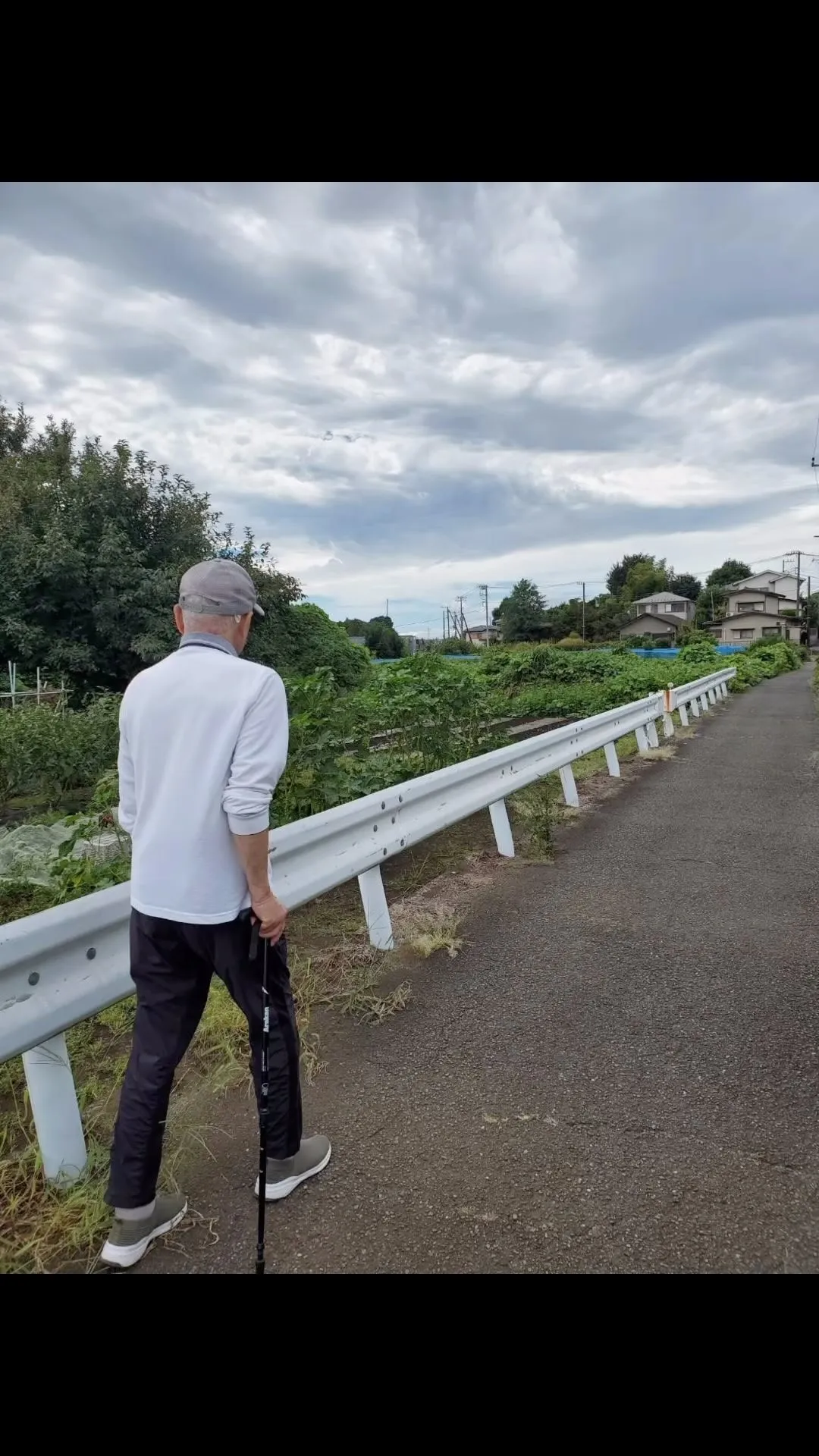 お散歩〜🌿