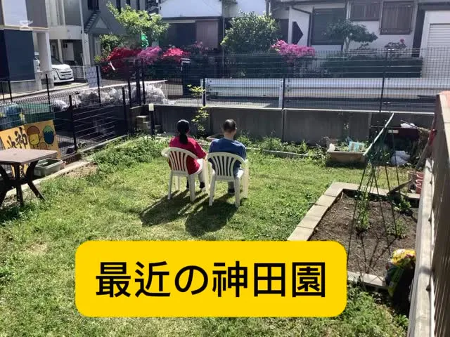 最近の神田園、、、