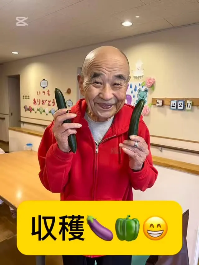 🫑夏野菜収穫😁