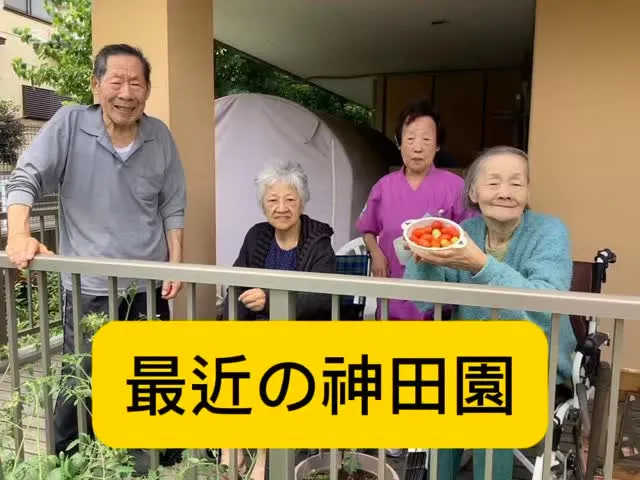 最近の神田園☀️