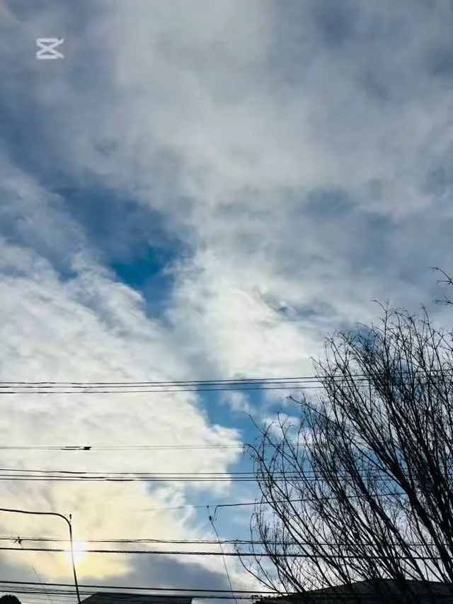 今日の朝食は、、、