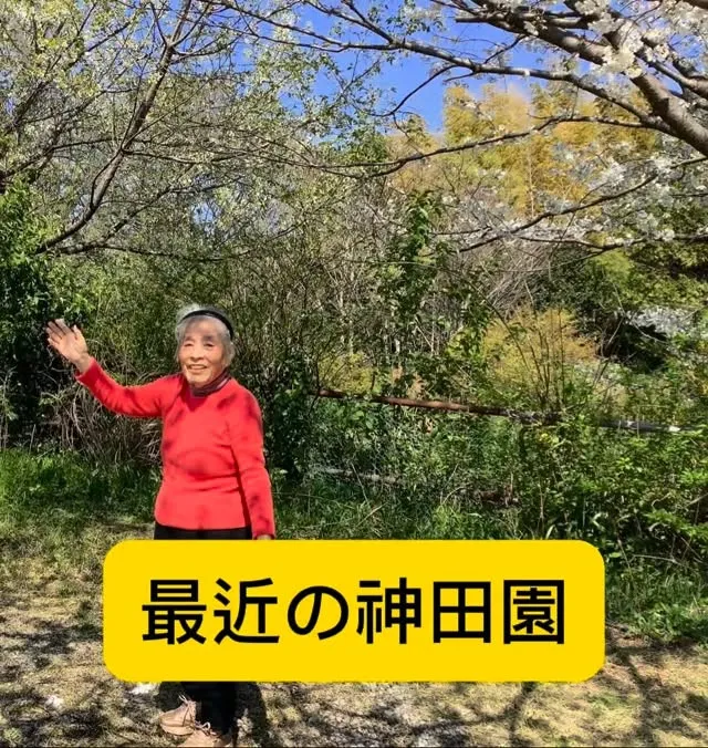 2026年4月4日☁️