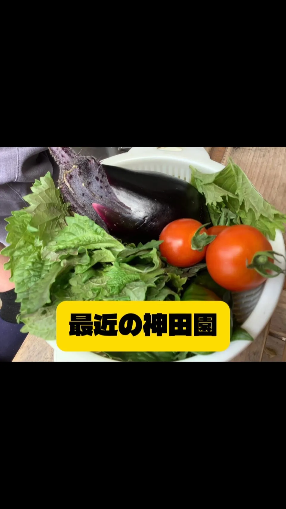 2026年6月20日